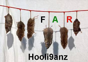 Hooli9anz